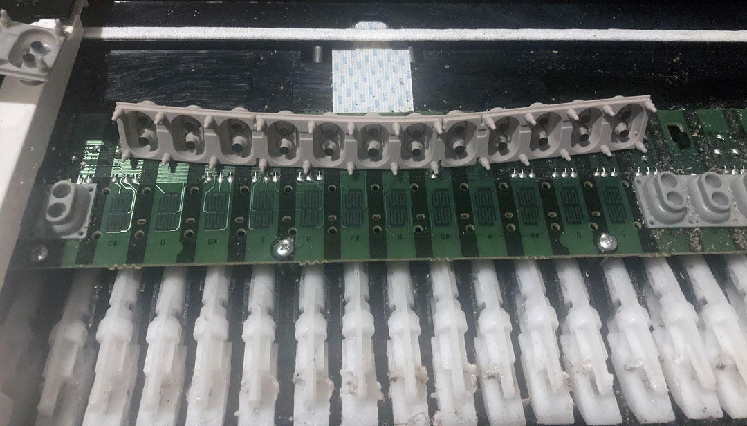 Yamaha P-105 Rubber Strip